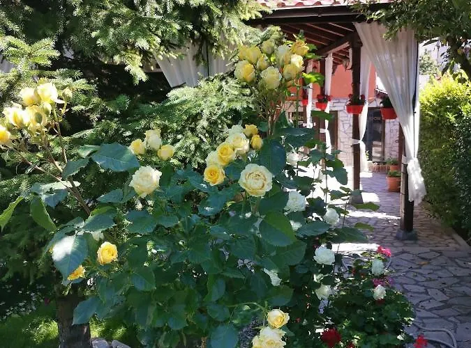 Πανσιόν Boutique Ikonomov Μπάνσκο