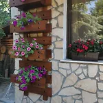 Boutique Ikonomov 3* Bansko