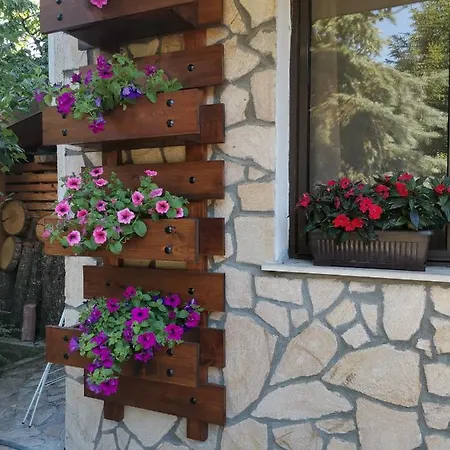 Boutique Ikonomov 3* Bansko
