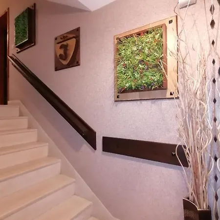 Boutique Ikonomov 3* バンスコ