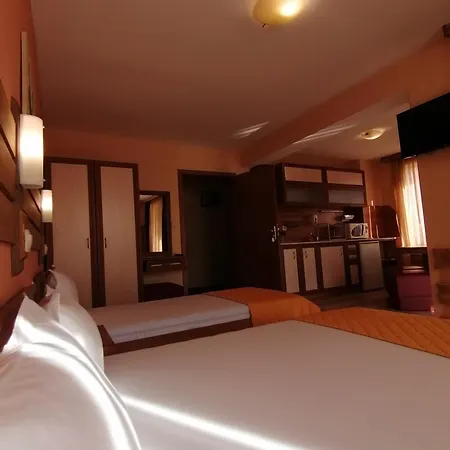 Boutique Ikonomov Gasthuis 3*