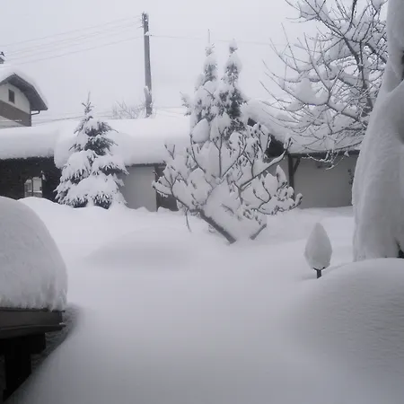 Boutique Ikonomov ゲストハウス