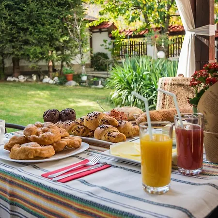 ゲストハウス Boutique Ikonomov バンスコ